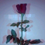 myuyumsuzlove-blog