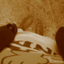 whencuriositymetinsanity