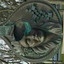 sandra-dream-blog