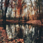 lilyrosebudinc-blog
