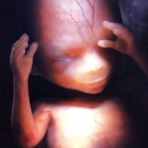 Unborn babies are hearing you, loud and clear