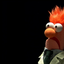 ohnosducky