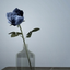 serenebluesims