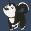 pandacea