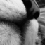 gaffig-blog