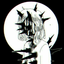 maxsickego-blog