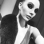 savdirocco-blog