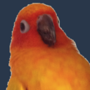 bird-bum:  bun-kil-moon:  superziggy:  Snooziest of birds  bird-bum LOOK AT THIS