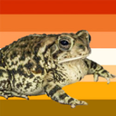 toadsrbutch avatar