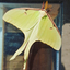 verimythe