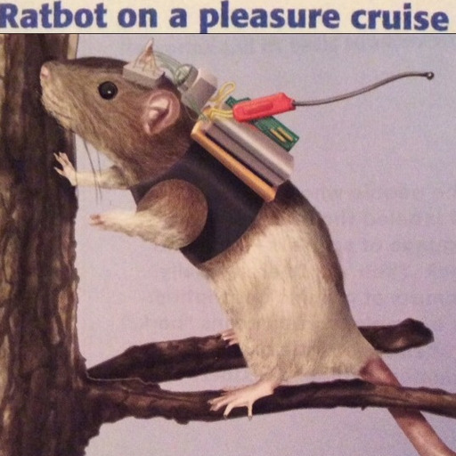 ratbot on a pleasure cruise porn pictures