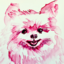 puppilon