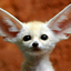 elfoxyfoxo