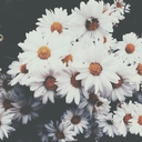 Lizeth Amaya ❀ 