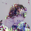 personalblogshin