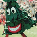 inspirationalstanfordtree avatar