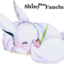 thenonamesquirrel