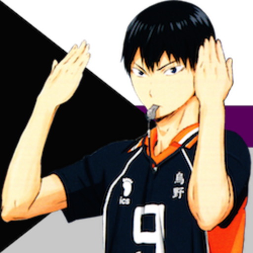 tobio-against-aphobes:Every aromantic is wonderful and amazing sorry i don’t make the rules