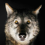simplywolves