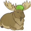 pordzofthemoose avatar