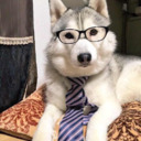 https://64.media.tumblr.com/avatar_fe72ec784e0b_16.gif