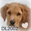 dogluver2002-blog