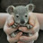 babyanimals2:href.liSo freaking CUTEEEE