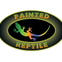 paintedreptile avatar