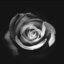 quinnofdarkparadise-blog