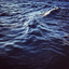 reef-3