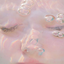 adeptangel