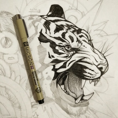 Boceto para mi próximo mural #sketch #tiger #ink #inkstagram #tinta #style #bamc #fiasco https://w