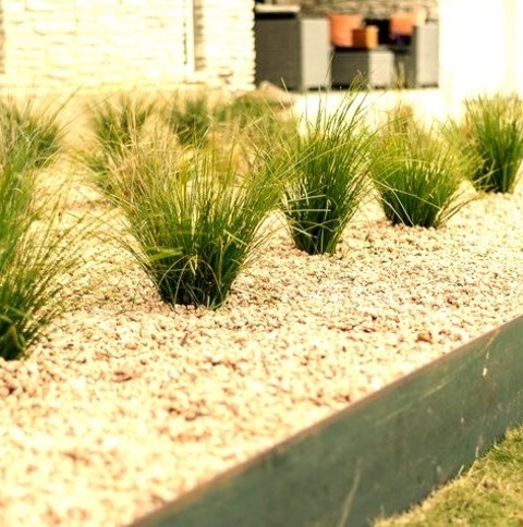 Gravel Front Yard Austin Here Is An Illustration Of A Summertime Gravel Garden Path In A Mid-sized, Drought-tolerant,