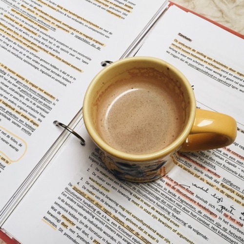 linceestudies: sunday 28•01•2018 // 3:15 pm Some more genaral literature notes… The