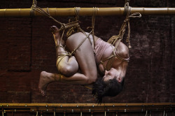 Beshibari:  Such A Jazzy Mood ! August Shibari Lounge Antwerp  In The Ropes: Elize