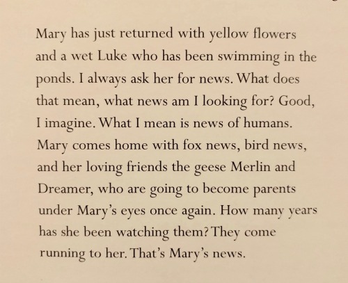 Mary Oliver, Photographed By Her Partner Molly Malone Cook. “Helping The Traveler, 1965”