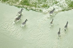 Zack SecklerAbsolutely beautiful images from Botswana, the colours and patterns are breath taking. It’s so easy to forget how incredible nature can be.  7‘Being above the ground at such low elevations, and having the ability to precisely maneuver,