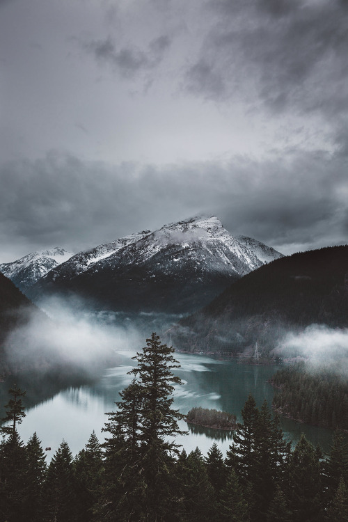 earth-dream:Foggy Mornings