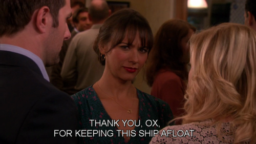 ann perkins