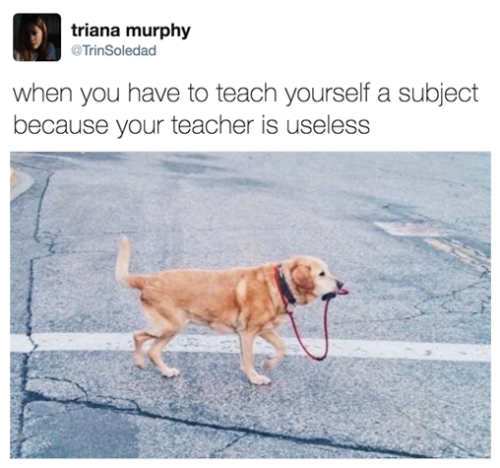 babyanimalgifs:  via @TrinSoledad