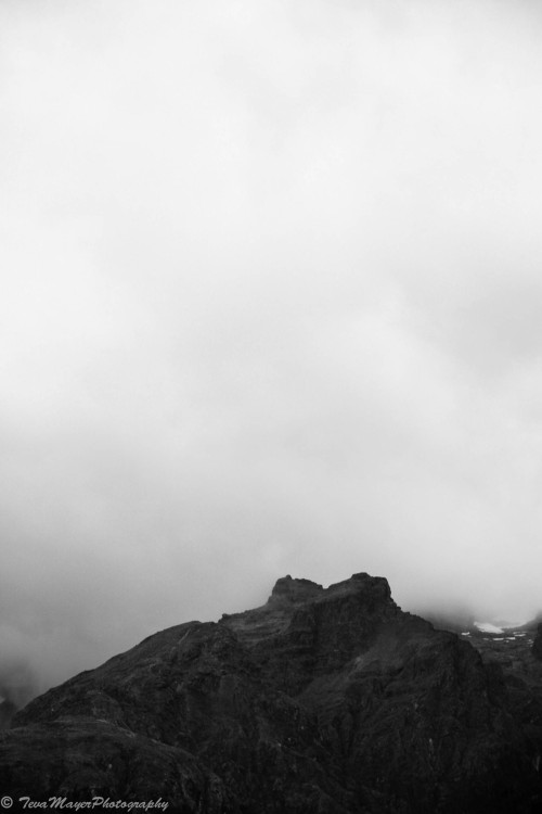 Mountain StudyRouteburn Great Walk, New Zealand