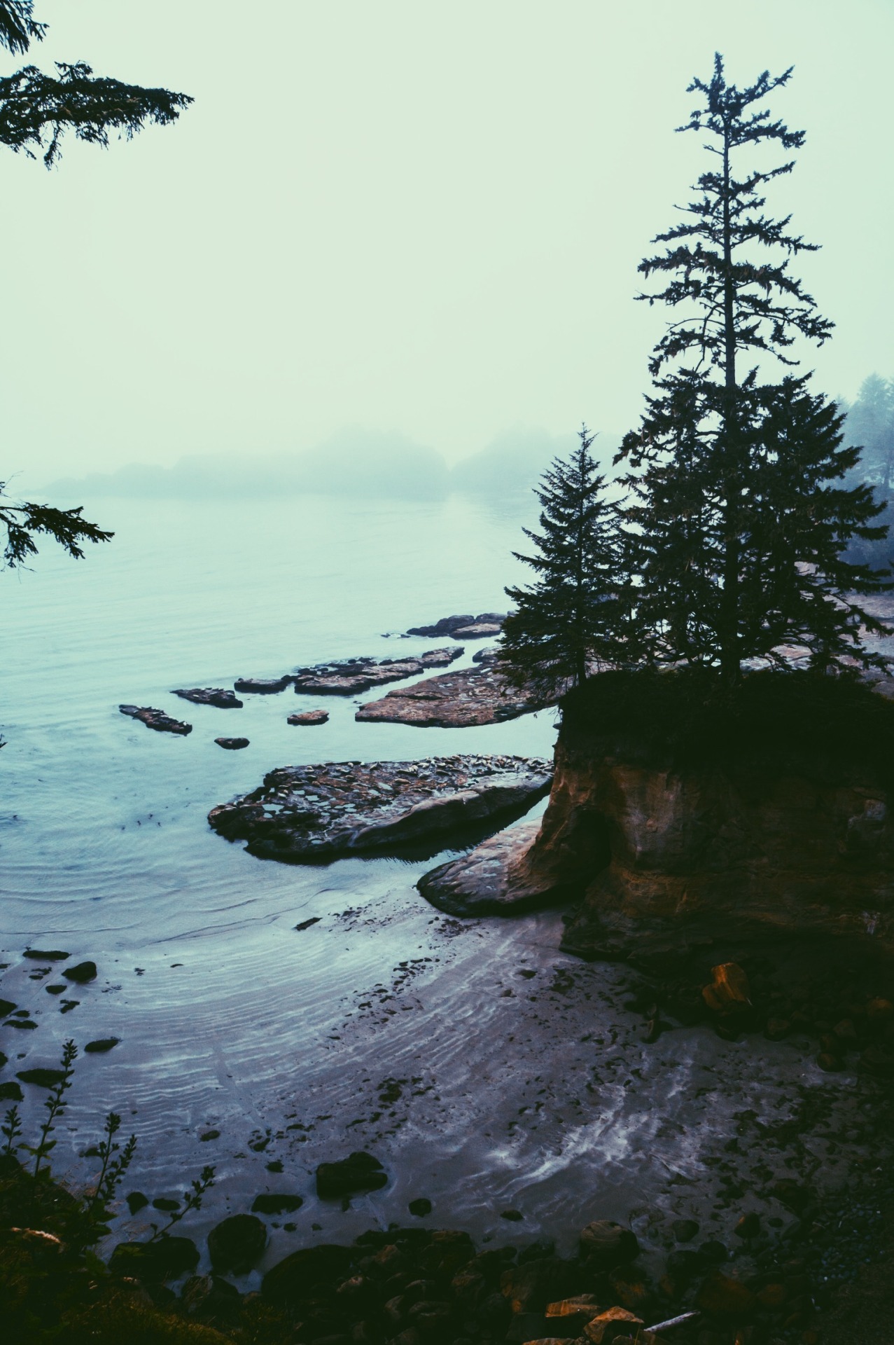 eartheld:  mostly nature 