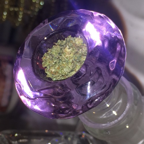  purple diamond bowl 