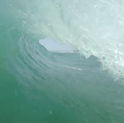 wslofficial:  Perfection.Video/GIF | @wslofficial​ | @gopro​