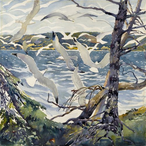 shear-in-spuh-rey-shuhn: WILLIAM STARKWEATHER Gulls at Shipwreck Bay Watercolor20″ x 20″