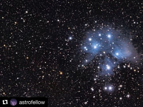 #Repost @astrofellow ・・・ 2019-10-04 Pleiades (M45) — Equipment I used: Nikon D7100 WO Z61 iO S