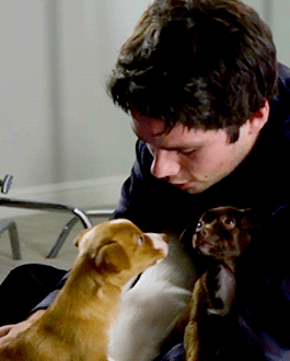 He's Sooo Adorable 