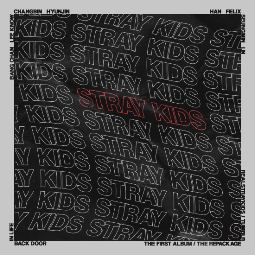 realstraykids:GO LIVE IN LIFE