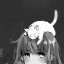 herocatz