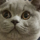thatsboris:teomodo:thatsboris:boris has brought you a pool noodleALTfearsomeALTboris